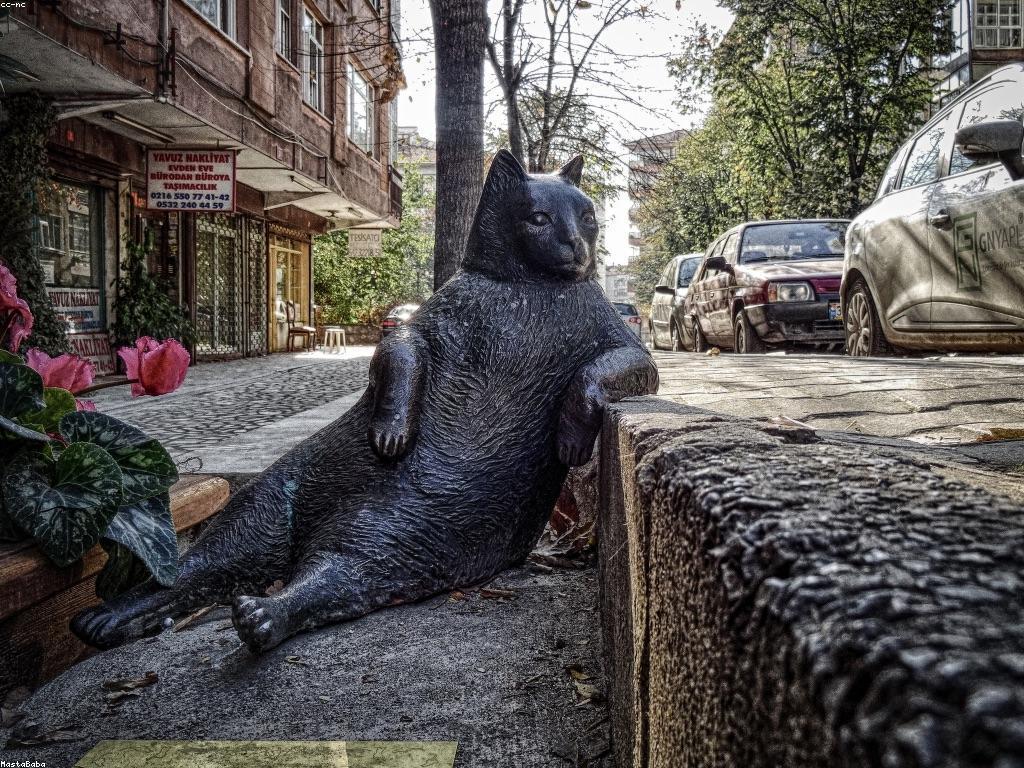 ការបាញ់ស្លុត: សិល្បៈនៃការបាញ់ស្លុតក្នុងរូបភាព