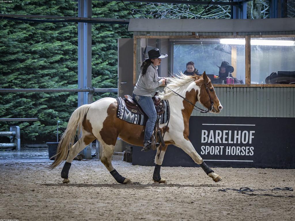 ការស្រាវជ្រាវពីការបាញ់ស្លុត