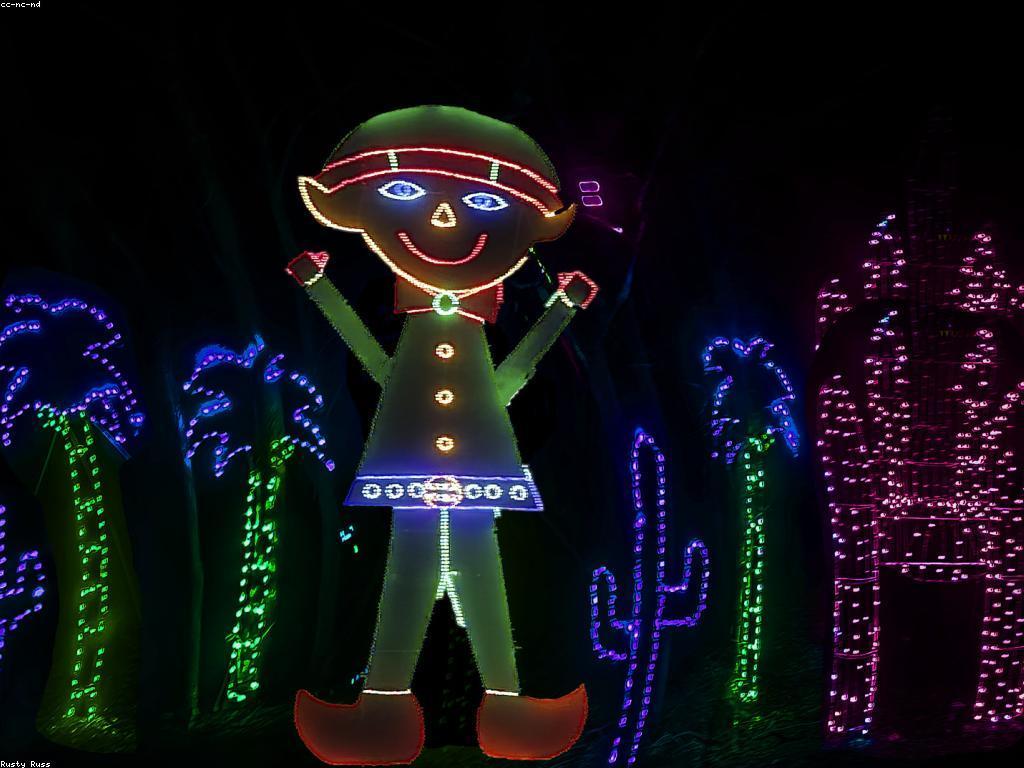 ការបាញ់ស្លុត: សម្រស់នៃកប្បាសតាមសិល្បៈ